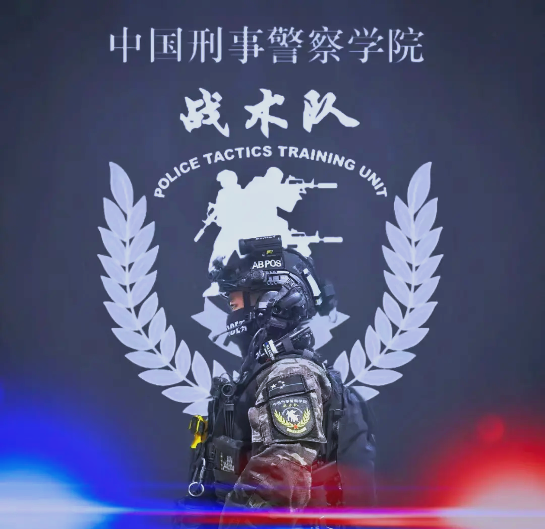 战术完美，球队技击风生动感十足
