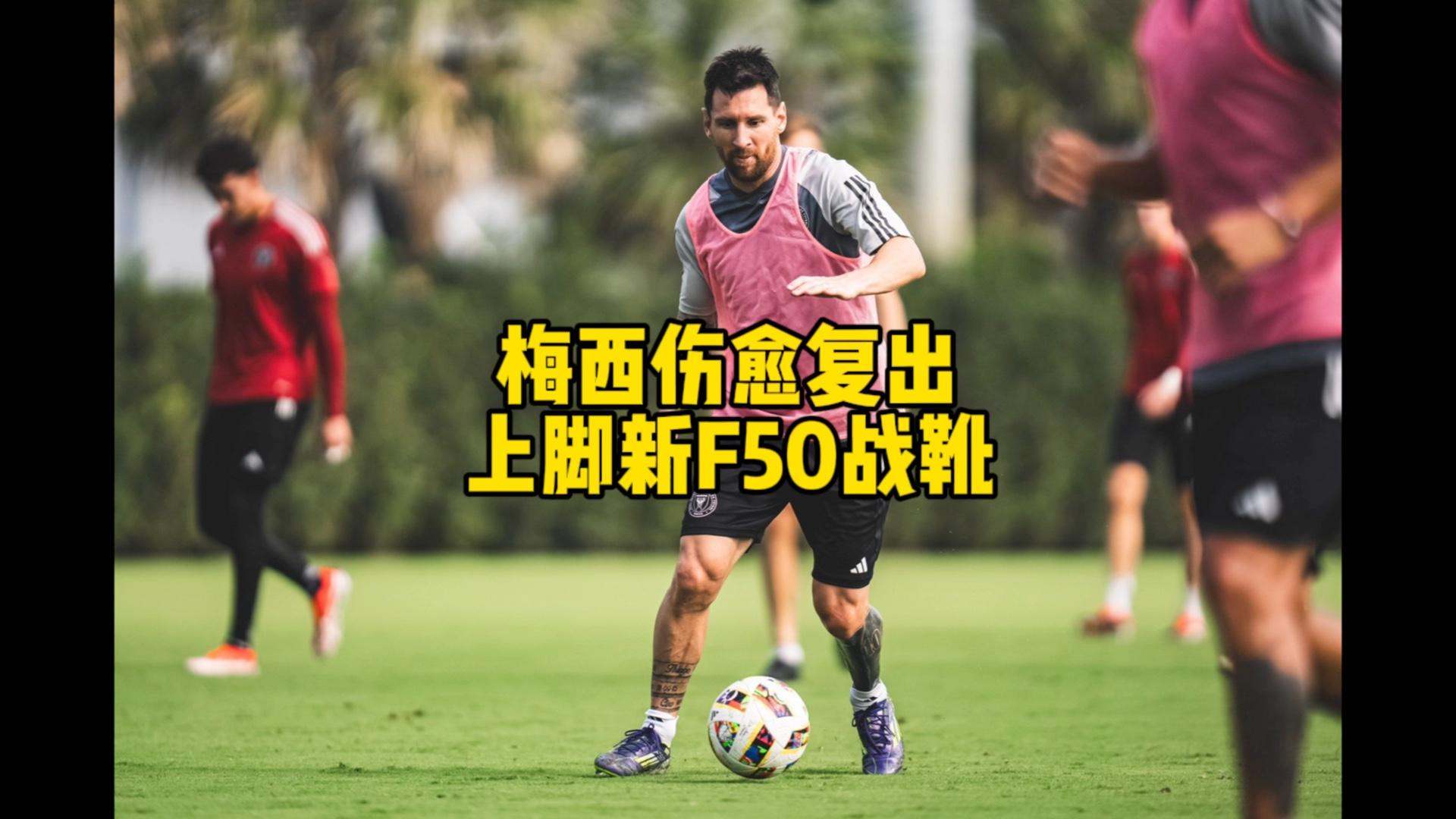 包含波兰攻击手伤愈复出，备战与英格兰之战的词条